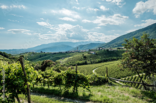 Vista su Valdobbiadene e le colline del Prosecco