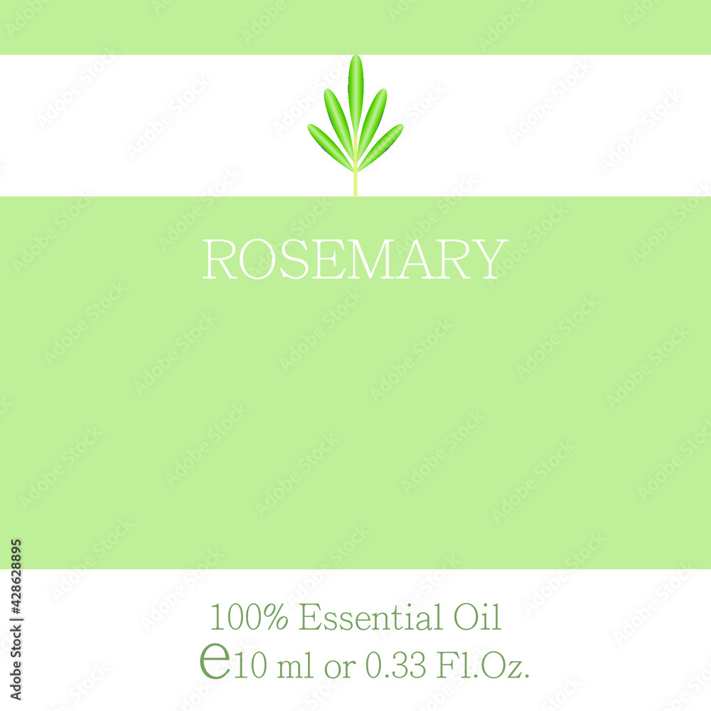 Rosemary. Essential oil label design. Cosmetics packaging template. Vector image on the theme of aromatherapy.