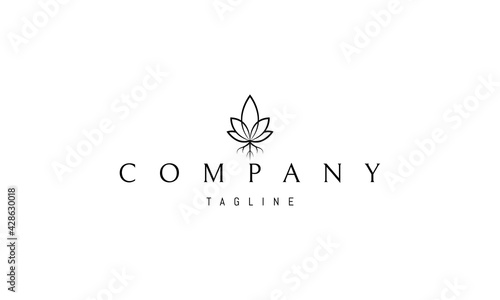 Vector logo on which an abstract image of cannabis leaves with a root.