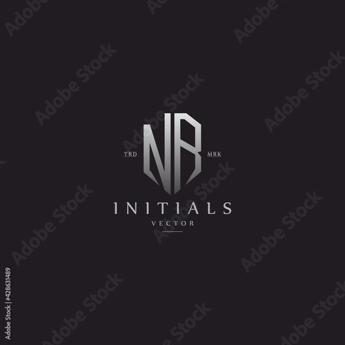 classy NR vintage metal monogram logo. elegant silver initials icon premium vector design template