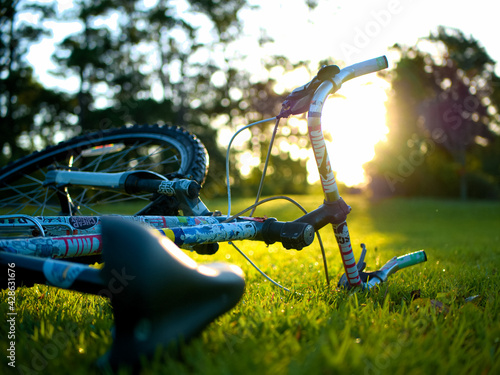 bicycle in the grass