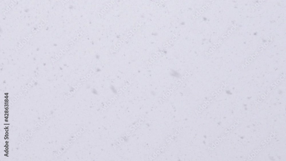 Beautiful natural falling snow, first person view (brighter verson) Beautiful natural falling snow, first person view (brighter verson)