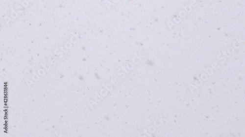 Beautiful natural falling snow, first person view (brighter verson)