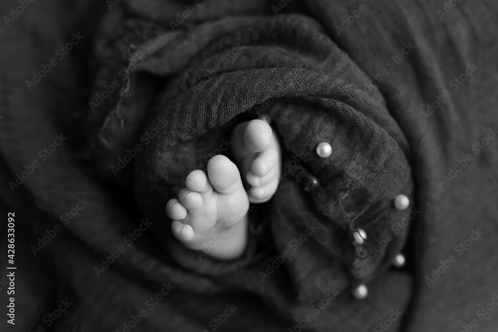 Fototapeta premium black and white photo of a newborn. baby feet. little baby feet