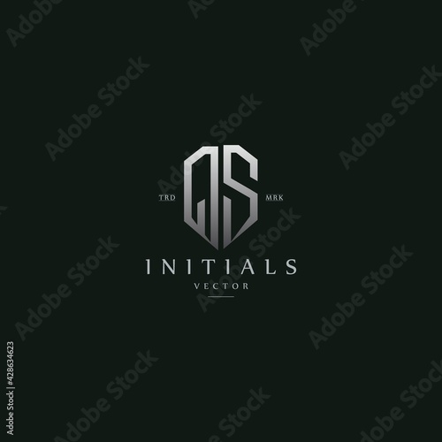 classy QS vintage metal monogram logo. elegant silver initials icon premium vector design template