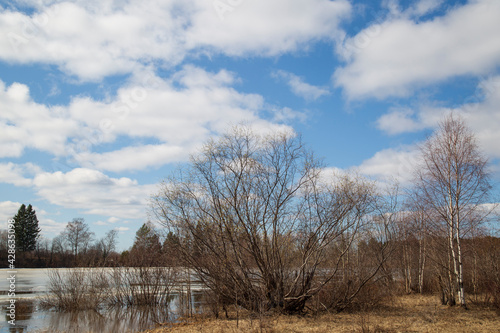 Spring landscape on the lake with blue sky and clouds.