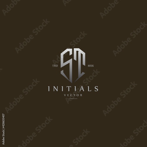 classy ST vintage metal monogram logo. elegant silver initials icon premium vector design template