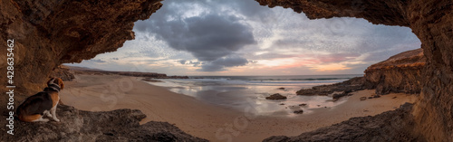 Fototapeta Naklejka Na Ścianę i Meble -  Cueva en la playa con perro beagle al atardecer