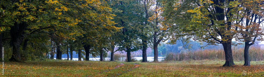 Fototapeta premium Autumn forest by the river, panorama. Colorful trees in the autumn forest