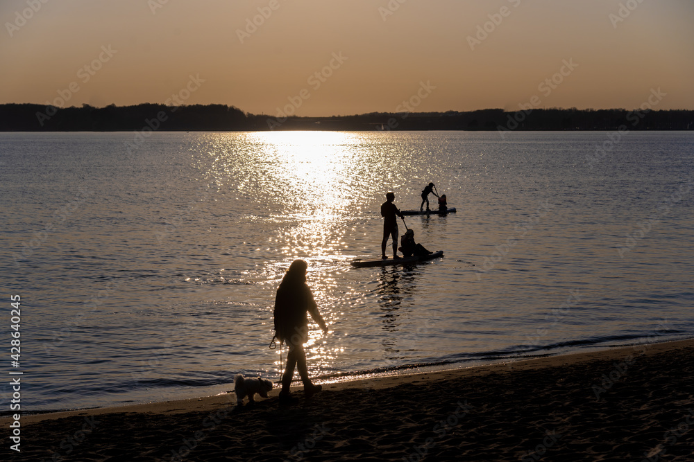 Silhouette von Menschen am Strand im Sonnenuntergang am Meer. Frau mit Hund an der Leine und Menschen paddeln auf SUP und Longboard