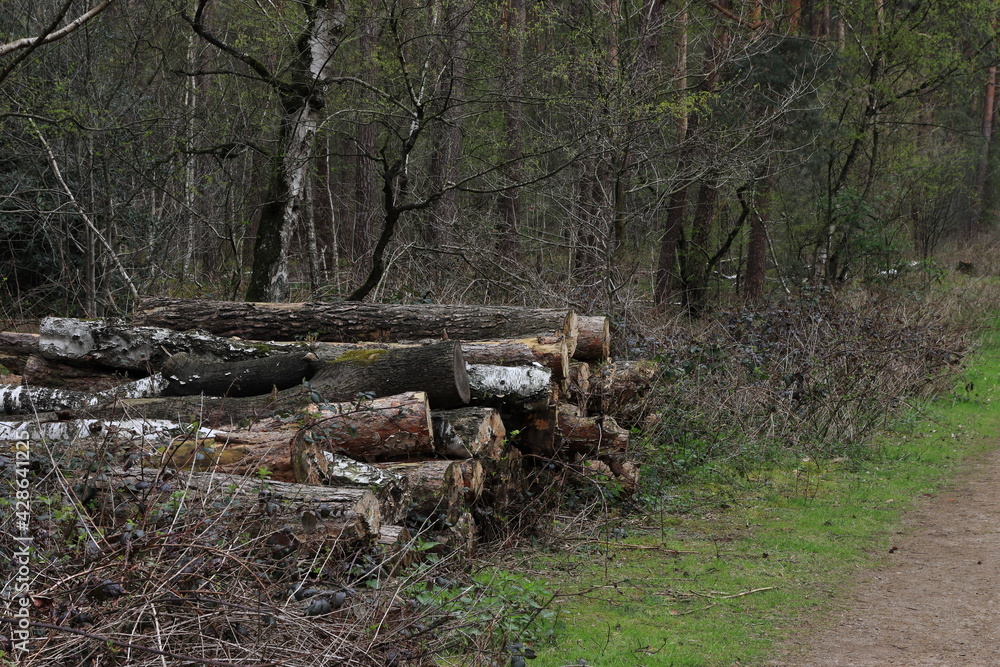 Holzstapel am Wegesrand
