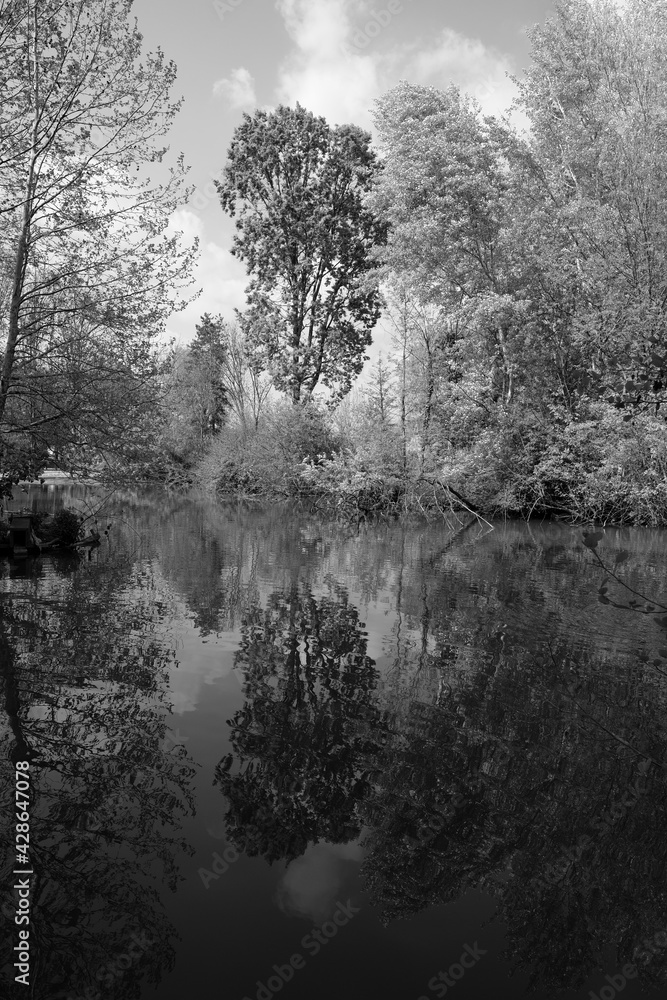 Parc with lake in black and White Parc with lake in black and White