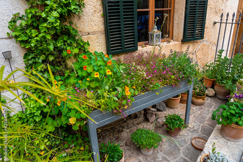 Wunderschönes individuelles Hochbeet, Blumenbeet, riesiger Blumenkasten mit Frühlingsblumen im mediterranen Stil - in Mallorca, Valldemossa photo