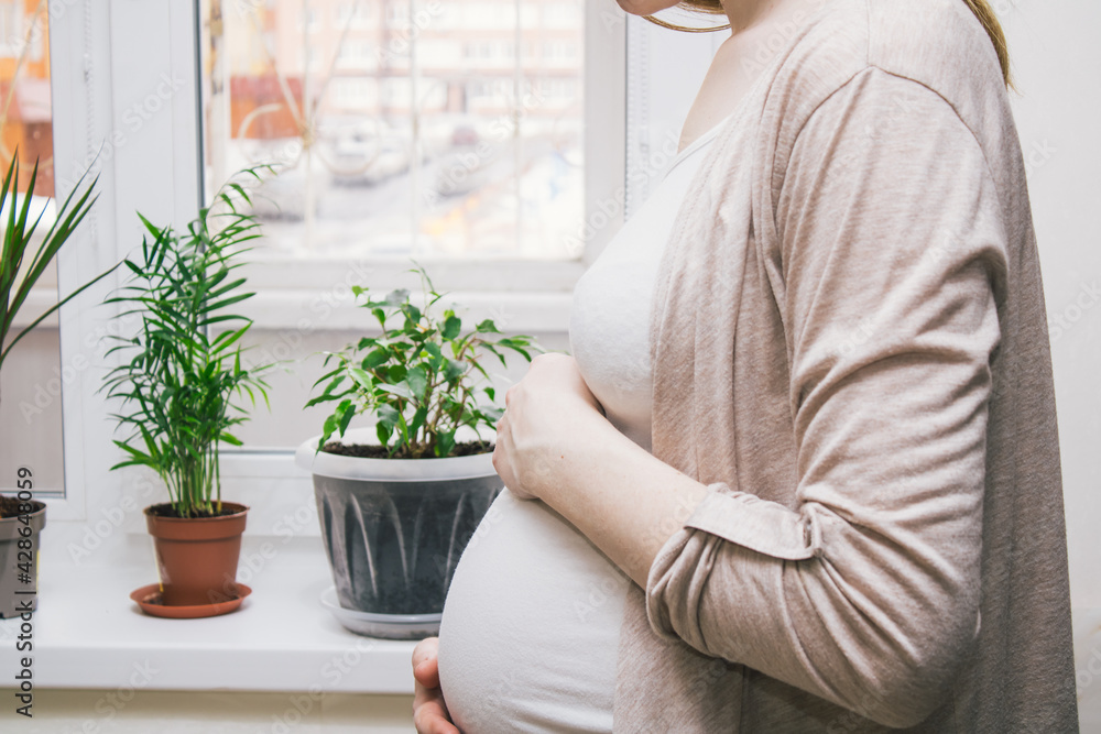 A pregnant girl or woman in light clothes holds a big belly with her hands and rejoices in the expectation of happiness. Against the background on the windowsill, green houseplants and flowers. A pregnant girl or woman in light clothes holds a big belly with her hands and rejoices in the expectation of happiness. Against the background on the windowsill, green houseplants and flowers.