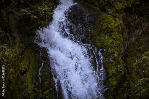 waterfall in the forest © Lonnie