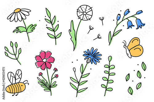 A set of meadow flowers with bee and butterfly. Colorful vector illustration in a cute doodle style. Perfect for postcards, social media design or for a flower shop. Outline 