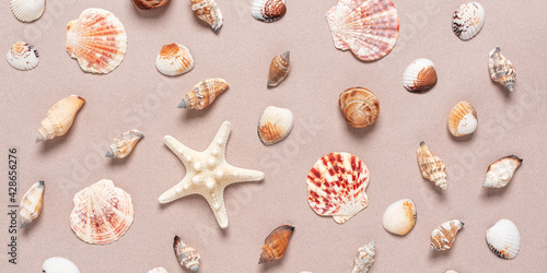 Collection of various seashells and starfish on paper background. Banner. Top view, flat lay.