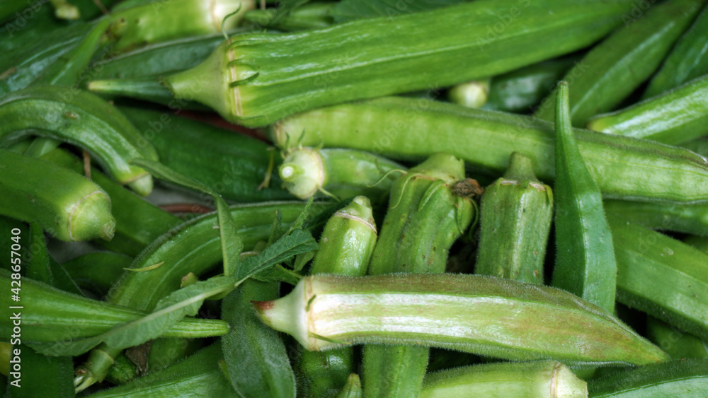 Lady's fingers is an alternative English name for okra, the mucilaginous seed pods of a plant of the hollyhock family. Lady's fingers is an alternative English name for okra, the mucilaginous seed pods of a plant of the hollyhock family.