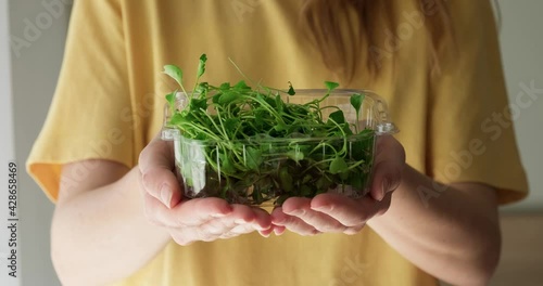 Close up 4K shot of woman holding plastic box with eatable sprouts of baby broccoli, concept of micrgreens and edible flowers, healthy eating.  photo