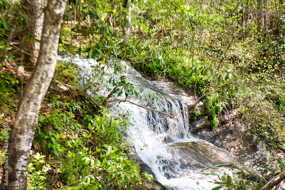 A small waterfall in a forest near Greenville, South Carolina, USA. A small waterfall in a forest near Greenville, South Carolina, USA.