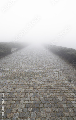 Paving stone road with fog ahead, vertical