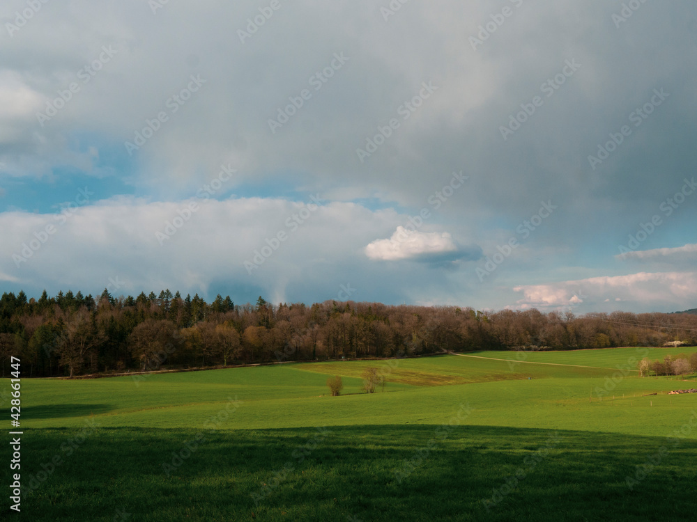 Fototapeta premium OLYMPUS DIGITAL CAMERA