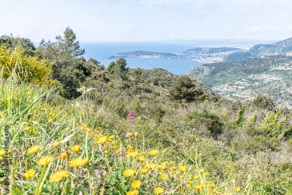 Obraz premium Paysage fleuri avec panorama sur la mer