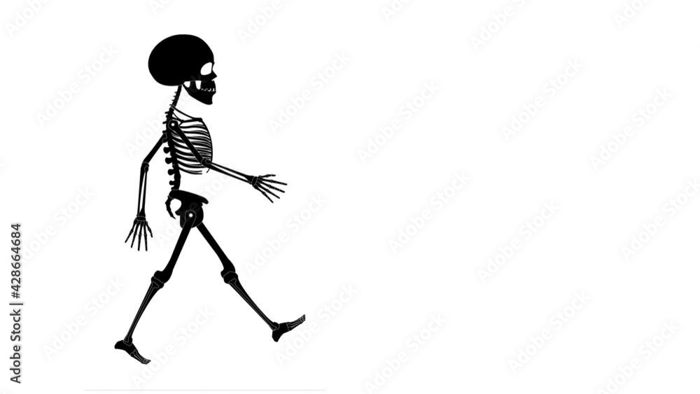 A skeleton is walking  on white background.
