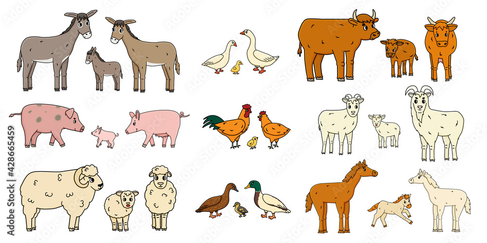 Cute farm animals families isolated on white background. Vector cartoon outline doodle animals collection: donkey goose cow ox pig hog chicken hen rooster goat sheep duck horse for children's book