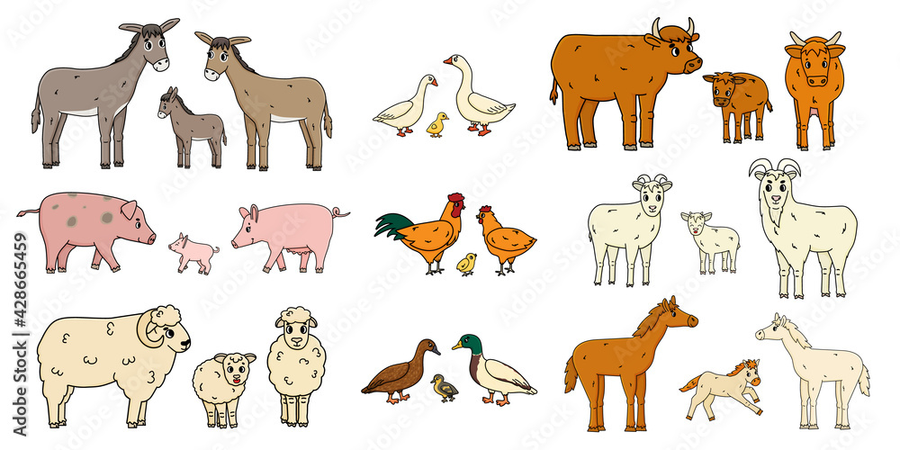 Cute farm animals families isolated on white background. Vector cartoon outline doodle animals collection: donkey goose cow ox pig hog chicken hen rooster goat sheep duck horse for children's book Cute farm animals families isolated on white background. Vector cartoon outline doodle animals collection: donkey goose cow ox pig hog chicken hen rooster goat sheep duck horse for children's book