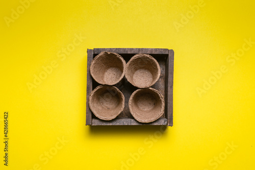 Fflower pots in the wooden box on the yellow flat lay background. photo