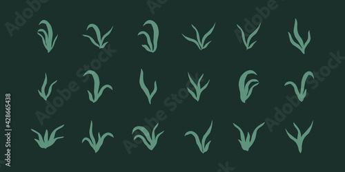 set of silhouette plants seaweed algae aquatic water plant grass for aquarium. isolated vector hand drawn illustration in doodle style.