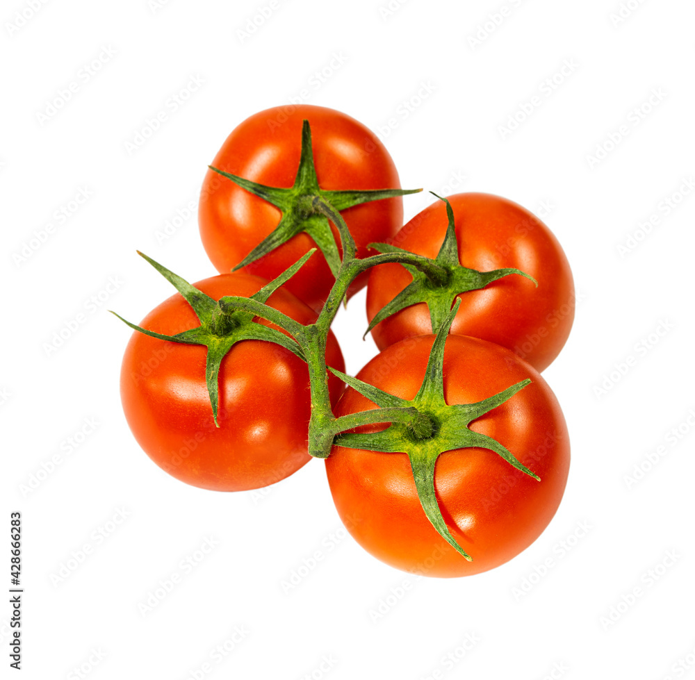 Tomatoes branch close-up isolated on a white background. Tomatoes branch close-up isolated on a white background.