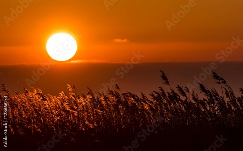 Obraz na płótnie Sunset w salonie