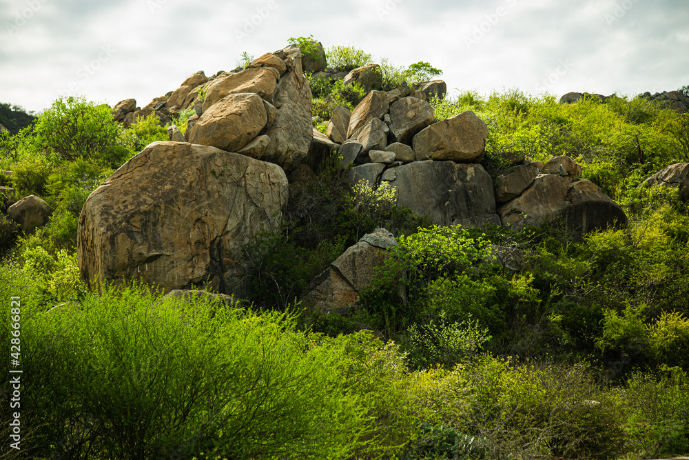 Rocks in the grass on the mountain, landscape, rock, sky, green, stones, hill, summer, Africa, beautiful