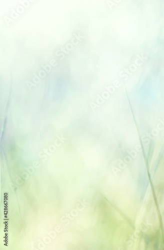 Artistic natural blurred green, blue and white background