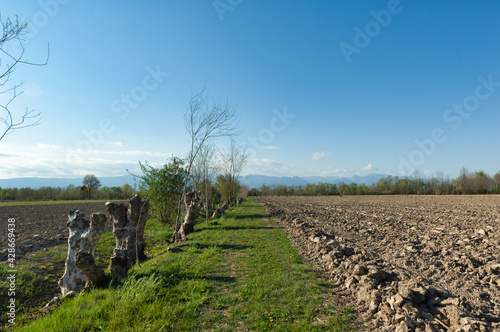 agricoltura in primavera, terra 