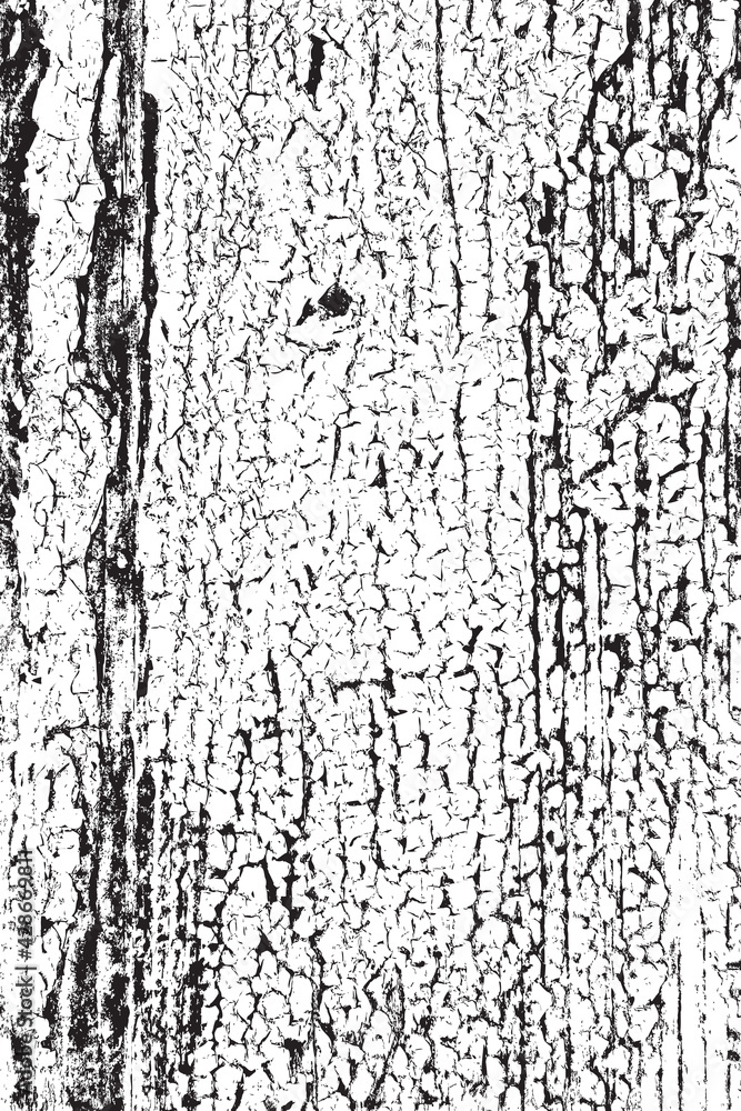 Texture Texture