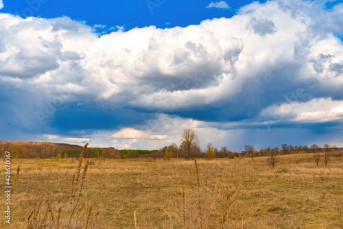 Fototapeta Naklejka Na Ścianę i Meble -  Trees in the meadow under the clouds