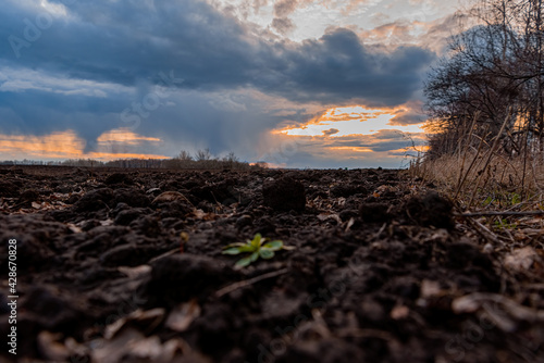 Sunset over a plowed field