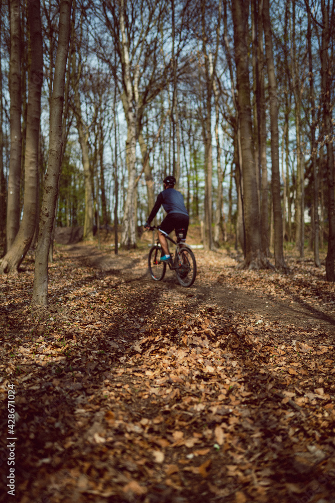Fototapeta premium Mountainbiking