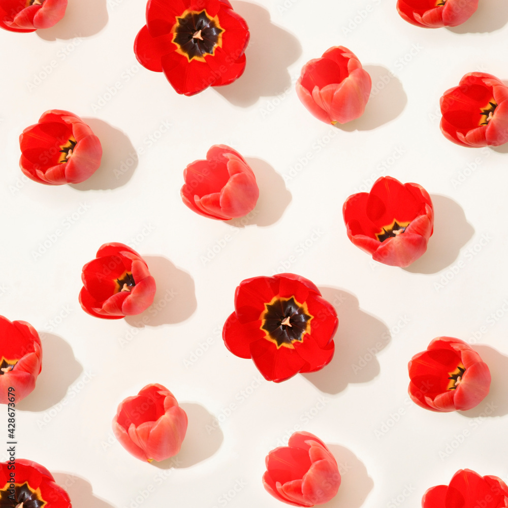 Spring pattern with fresh red tulips. Bunch of natural plants on white background. Spring pattern with fresh red tulips. Bunch of natural plants on white background.