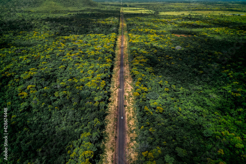 aerial image with drone of the highway in Roraima Brazil in the middle of the Forest photo