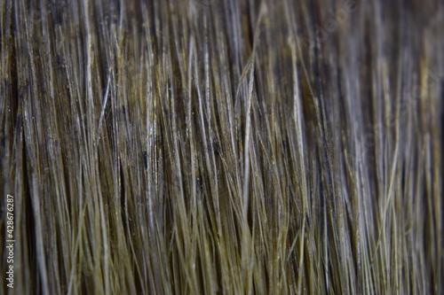 Flat brush hair glued with varnish