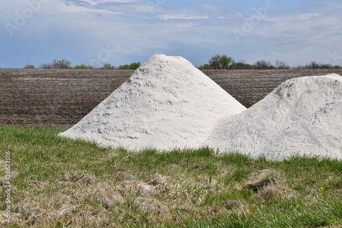 Canvas-taulu Lime in a Farm Field