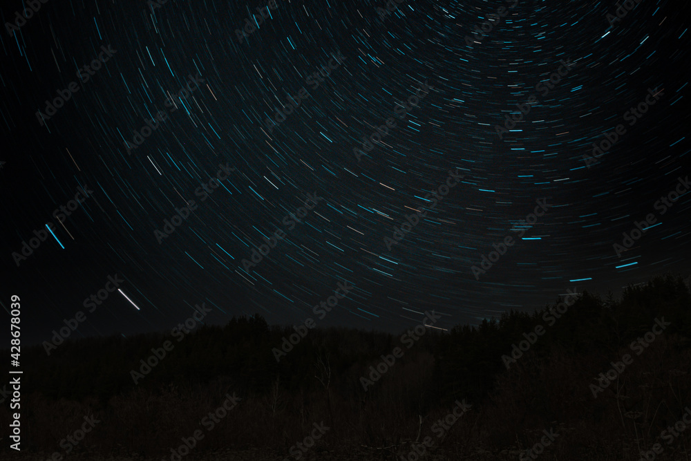 Fototapeta premium night forest in the background of the starry sky