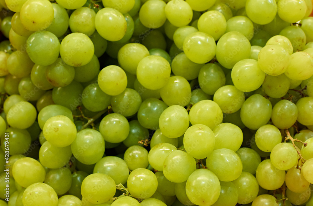 A selective focus shot of fresh green grapes A selective focus shot of fresh green grapes