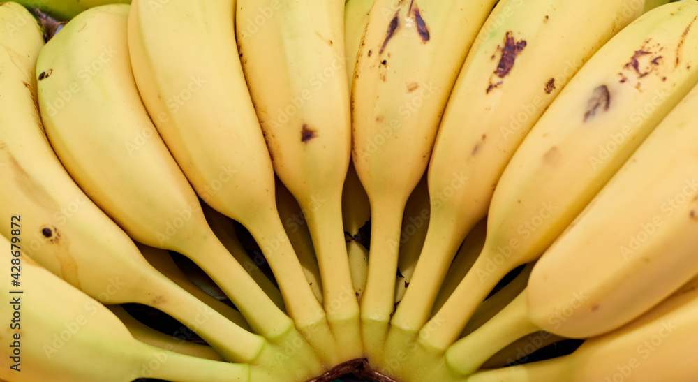 A selective focus shot of fresh bananas