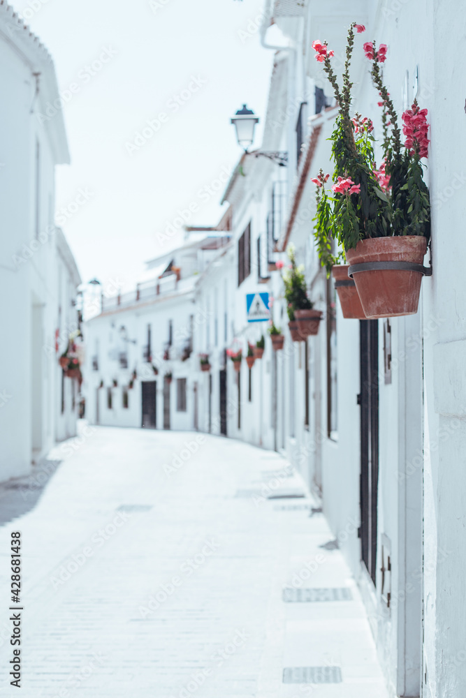 Fototapeta premium Decoration. Details of the decoration of the city of Mijas.