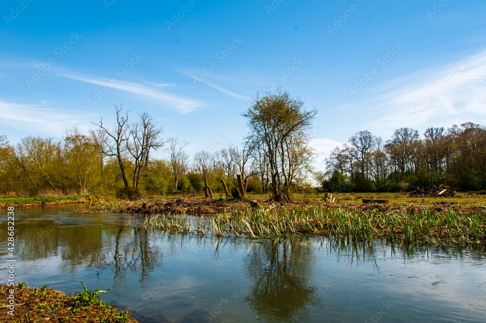 Fototapeta premium landscape with lake